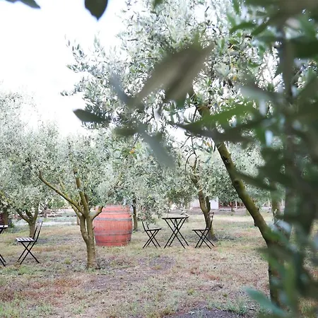 Bed & Breakfast Dimora Di Campagna 