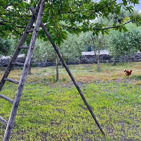 Dimora Di Campagna 