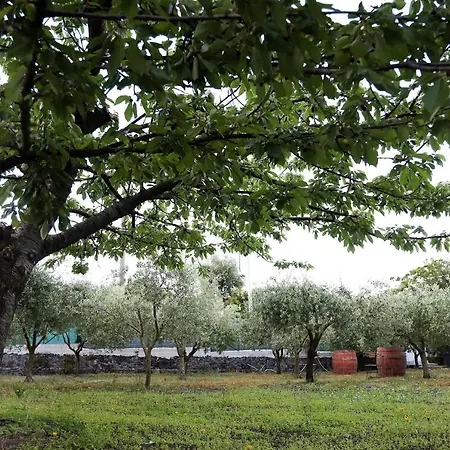 Dimora Di Campagna 