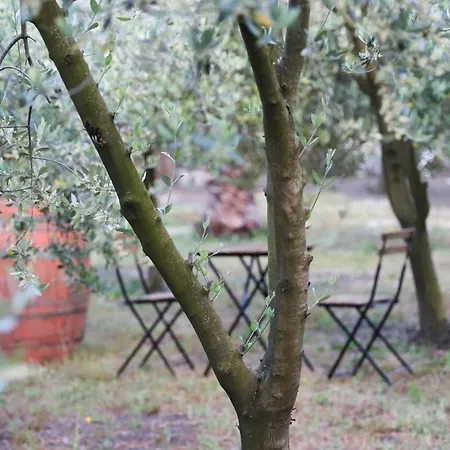 Bed & Breakfast Dimora Di Campagna 
