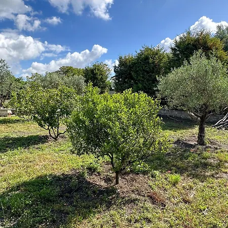 Dimora Di Campagna 